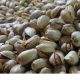 pistachio nuts price comparison