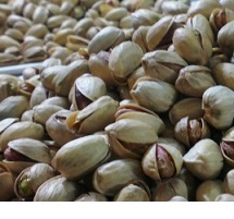 pistachio nuts price comparison