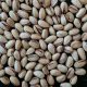 pistachio wholesale price australia