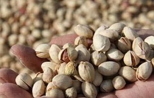 price of pistachio in iran
