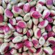 raw unshelled pistachios export