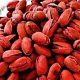 buy red pistachio nuts in bulk