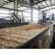 the pistachio factory in iran