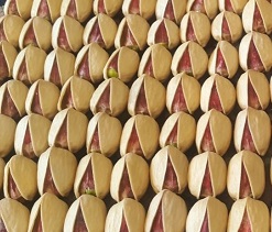 iranian pistachio grades wholesale