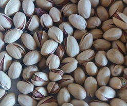 Pistachio nuts suppliers in iran