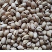 artificially opened pistachios wholesale prices