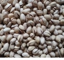 artificially opened pistachios wholesale prices