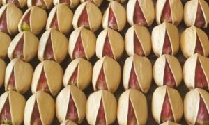 best jumbo pistachios price per kg