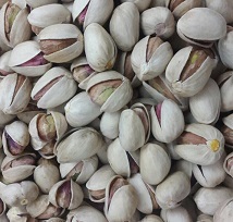 bulk buy pistachio nuts for sale