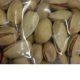 bulk pistachio suppliers in iran