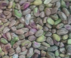 buy pistachio kernels