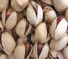 fandoghi round pistachio for sale