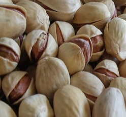 pistachio exports from iran