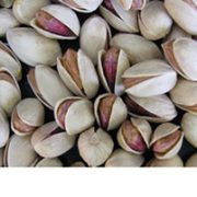 raw shelled pistachios for sale