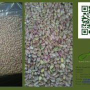 Packing type in buy pistachio nuts in bulk