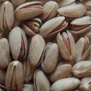 Persian pistachio import export