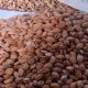 bulk pistachio exporters in iran
