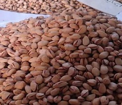bulk pistachio exporters in iran