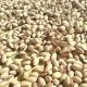 naturally opened pistachios wholesale
