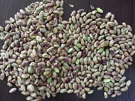 pistachio kernels bulk