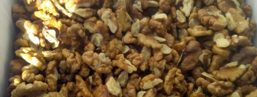 broken walnut kernels