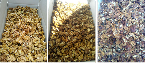 buy walnut kernels online