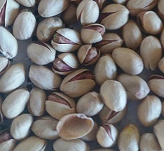 cheap bulk pistachio nuts sale