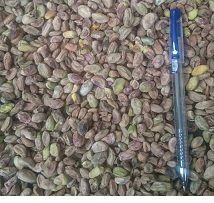 cheap pistachio kernels bulk