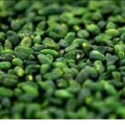 peeled pistachio kernels price