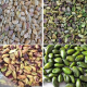 pistachio kernel price per ton