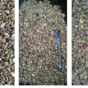 pistachio kernels prices