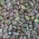 roasted pistachios unsalted no shell