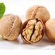 walnut kernel price for sale