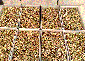 walnut kernels suppliers