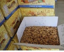 walnut kernels wholesale price