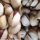 wholesale pistachio price in russia