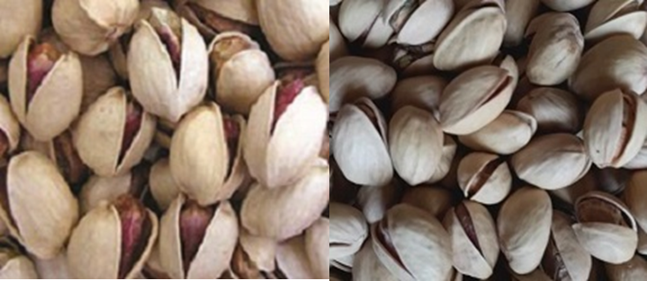 wholesale pistachio price in russia
