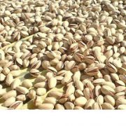 best pistachio company in iran