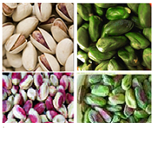 bulk pistachio kernels price per kilo