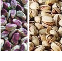 buy raw shelled pistachios