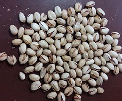 pistachio nuts biggest producer