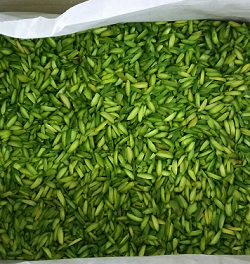 buy slivered green pistachios in bulk