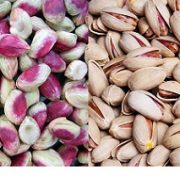 persian pistachio trading in the world