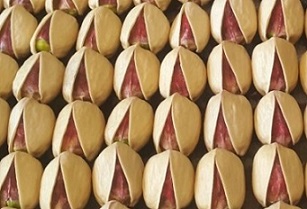 pistachio nuts price in philippines