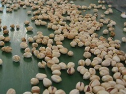 pistachio price in bahrain