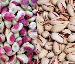pistachio nuts biggest producer