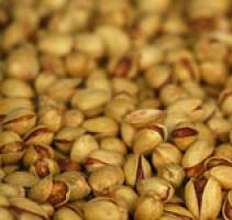 roasted and raw pistachio nuts for sale