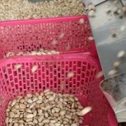 shelled pistachios price per pound