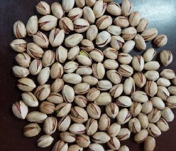 shelled pistachios wholesale