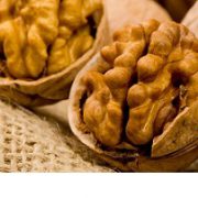 walnut kernels export data in the world